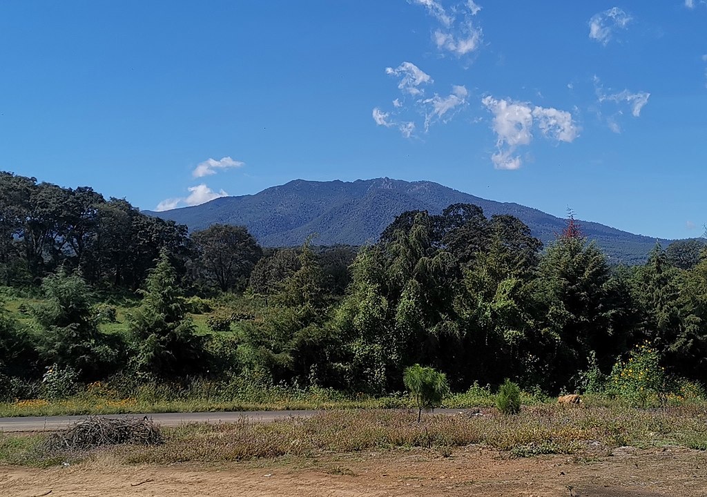 Monarch Sanctuaries On The Michoacán Side