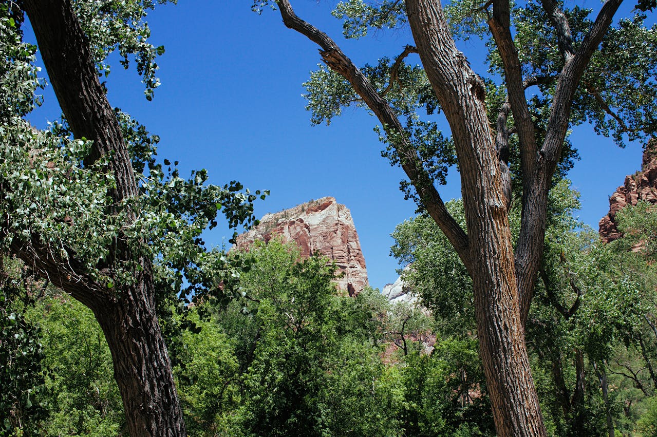 Zion National Park, Utah