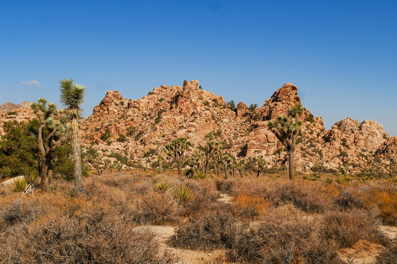 Joshua Tree National Park, California