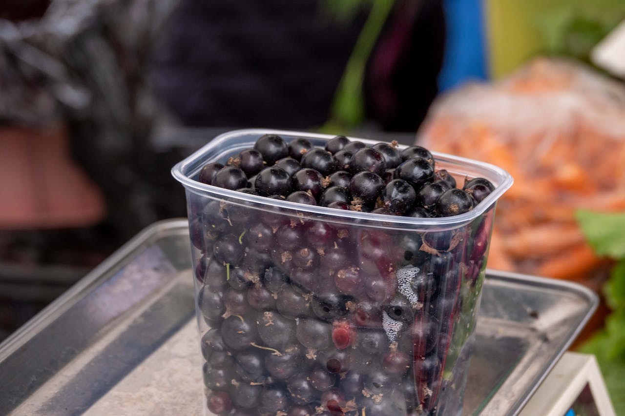 Blackcurrants And The Vanishing Berry